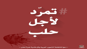 نشطاء يدشنون دعوة : تمرد لأجل حلب