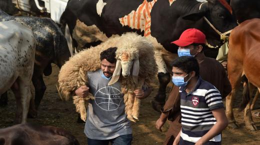 اجراءات احترازية من الحكومة الباكستانية قبل عيد الأضحى