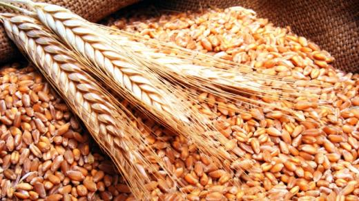 الرئيس اللبنانى يؤكد على ضرورة ضبط تفلت أسعار السلع وحماية الأمن الغذائى