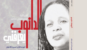 كتاب جديد للدكتورة إشراقة مصطفى بعنوان ” الدانوب يعرفني صدر حديثا من الآن ناشرون وموزعون