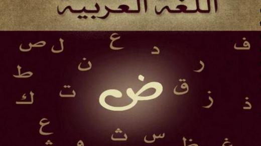 نقدم إليكم مميزات وحقائق عن اللغة العربية لا يعرفها الكثيرون